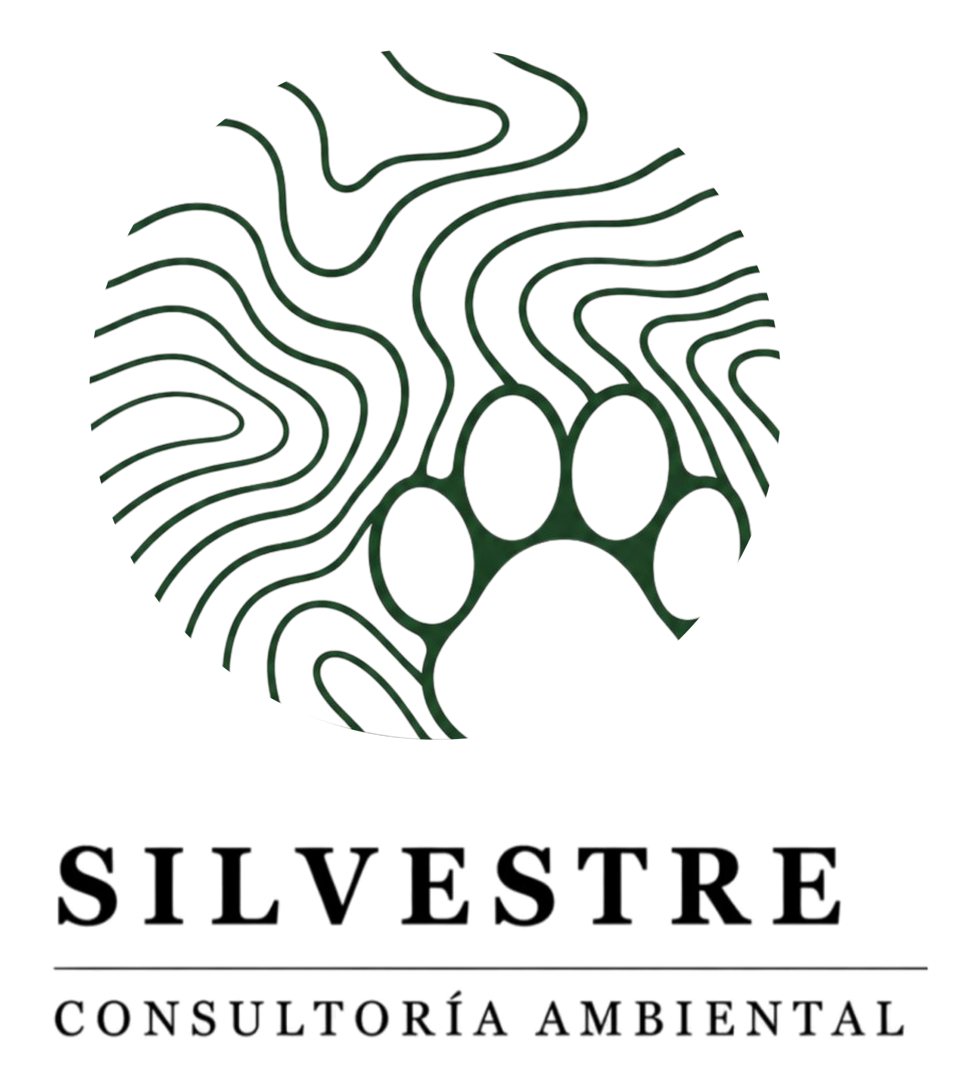 Silvestre Ambiental